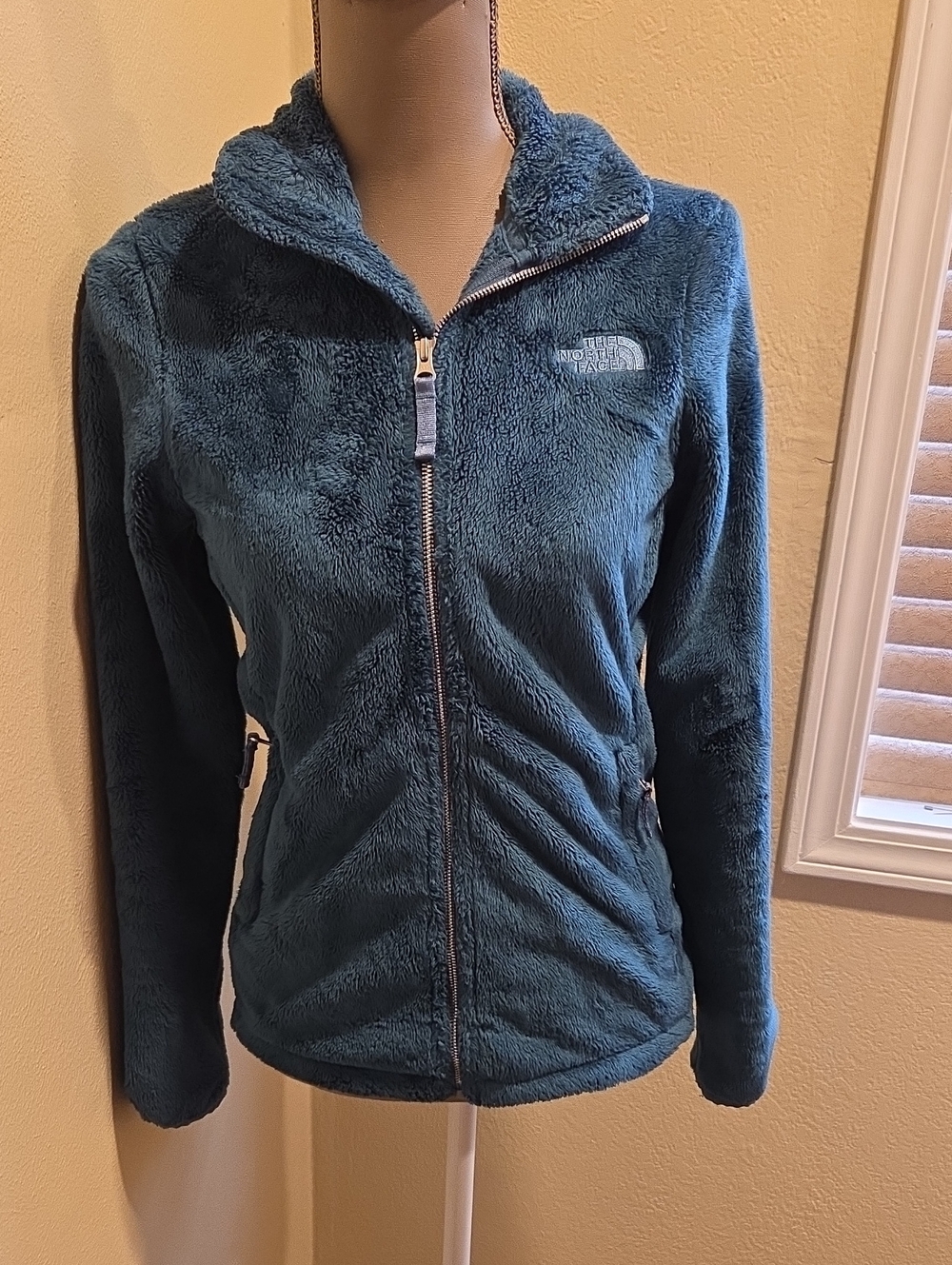 The North Face Women's Plush Full-Zip Jacket - Teal Blue